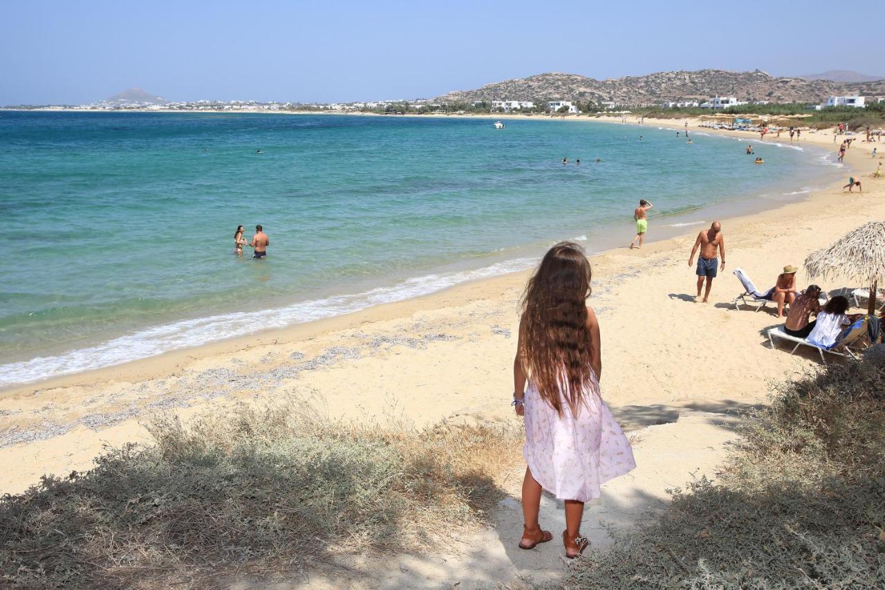 Paradise In Naxos 3*