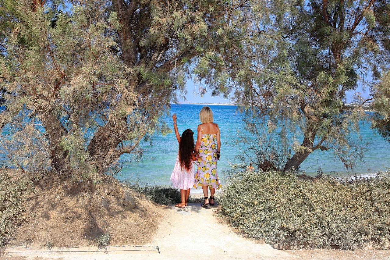 酒店 Paradise In Naxos Plaka (Naxos)