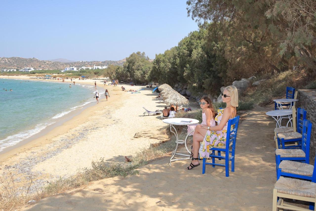 Paradise In Naxos Plaka (Naxos)