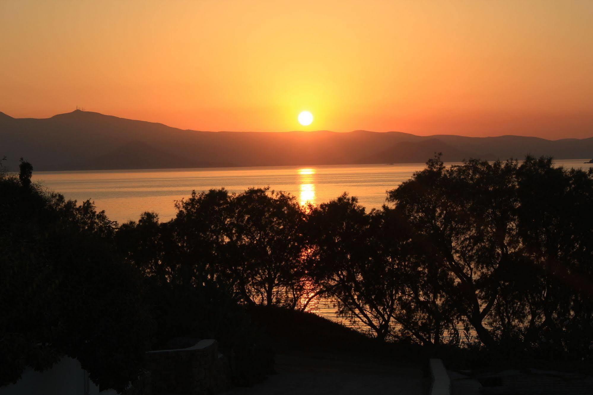 Paradise In Naxos 3*